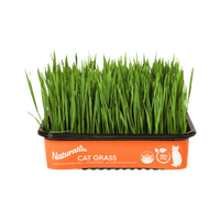 Grass Trays / Pots