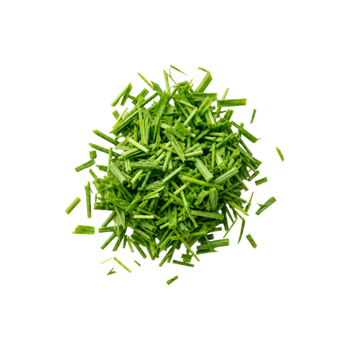 Cat Grass