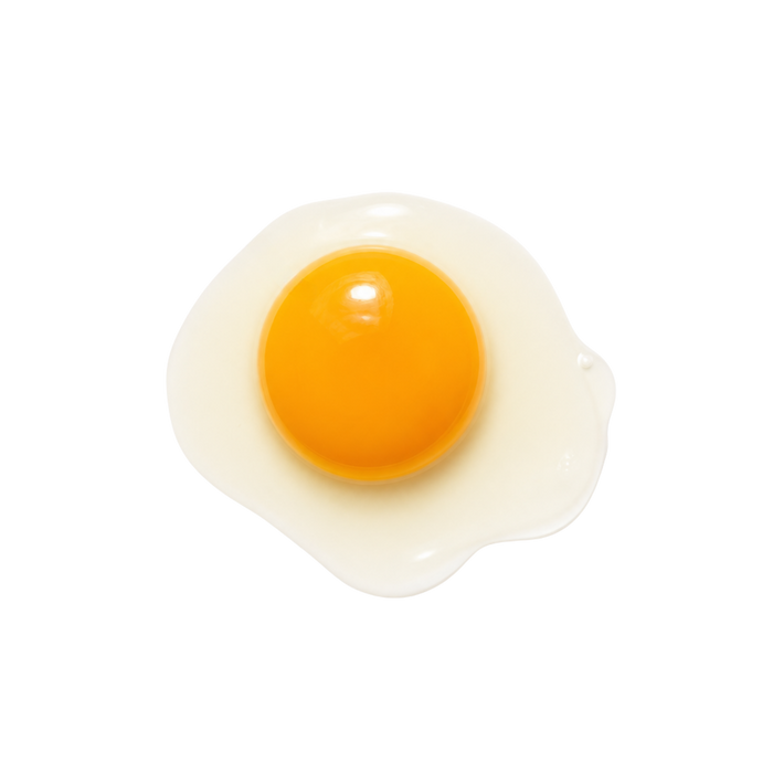 Egg Yolk