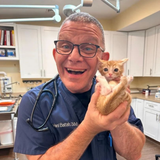 Dr. Hant Battah