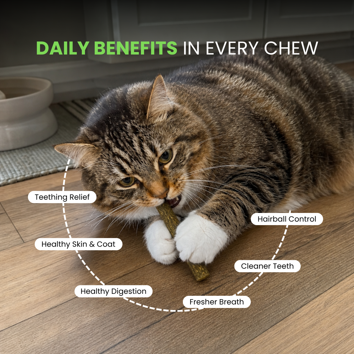 Cat Grass Teething Sticks