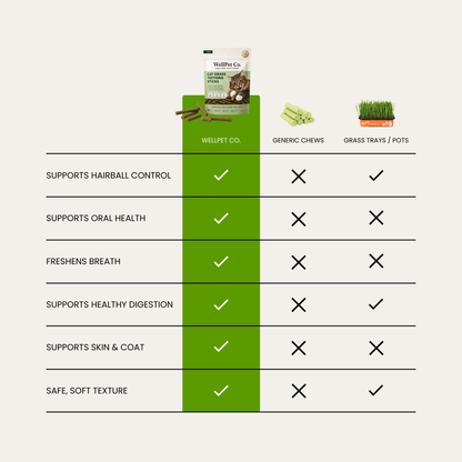 Cat Grass Teething Sticks