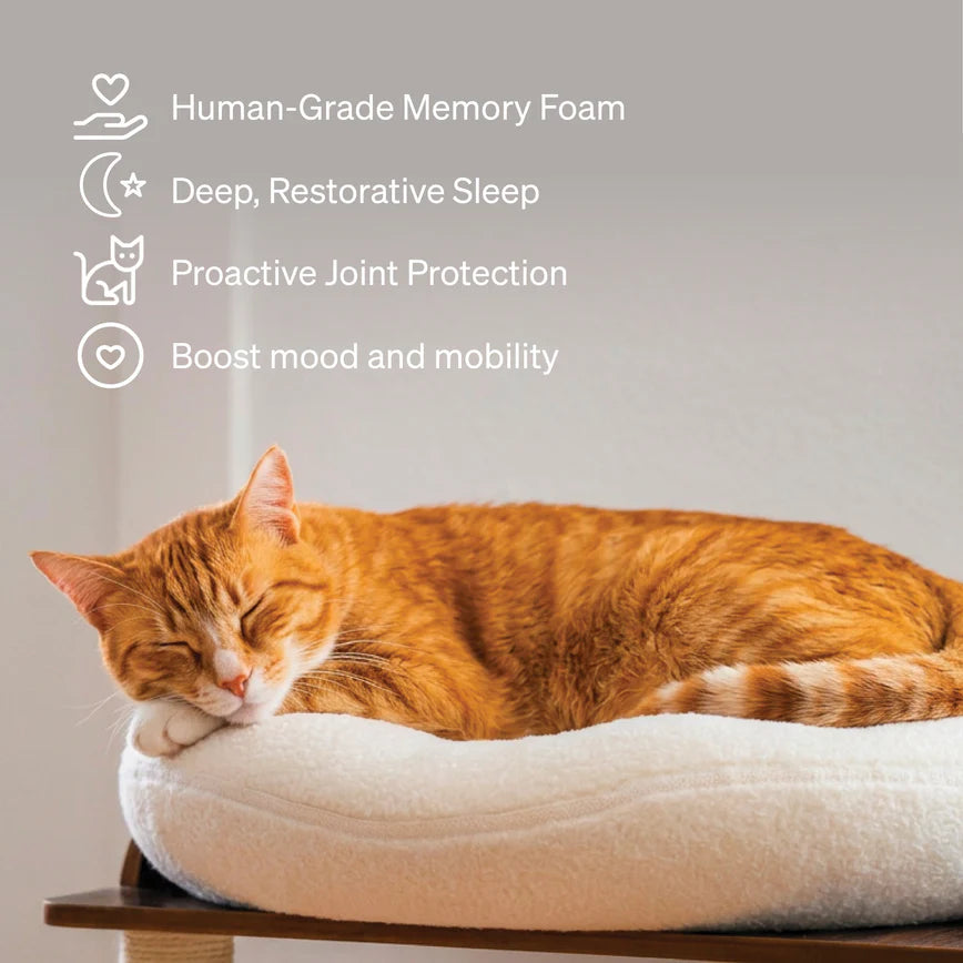 Orthopedic Bed